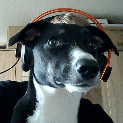 Viktor Tokariev 🇺🇦